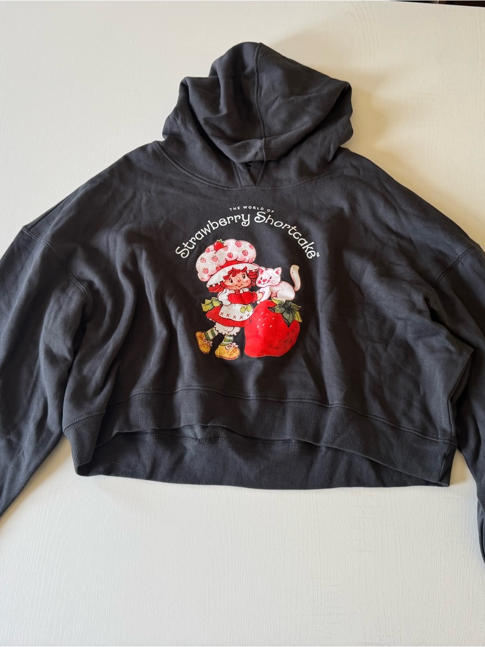 NWT cropped strawberry shortcake gray hoodie